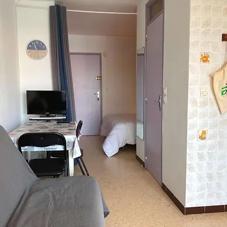 T1 Confortable Avec Balcon Et Ascenseur A - Fr-1-553-181